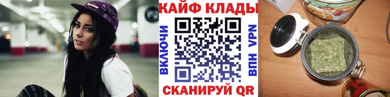 Галлюциногенные грибы Тайга