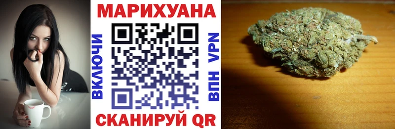 Бошки Шишки планчик Тайга